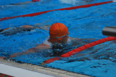 2_0063