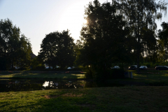 DSC_0042-Medium
