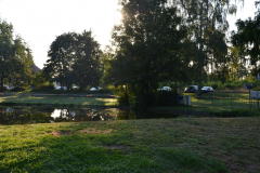 DSC_0043-Medium
