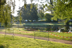 DSC_0048-Medium